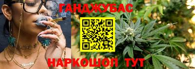 сатива Аргун