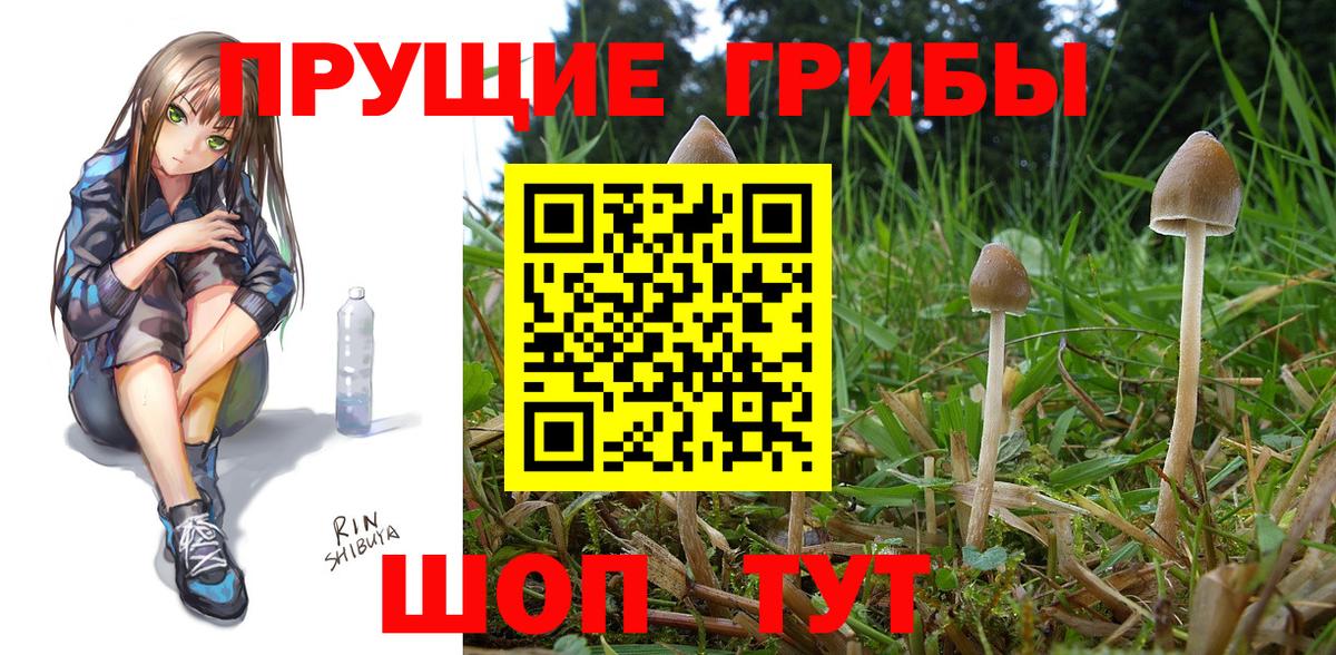 Галлюциногенные грибы MAGIC MUSHROOMS Апрелевка